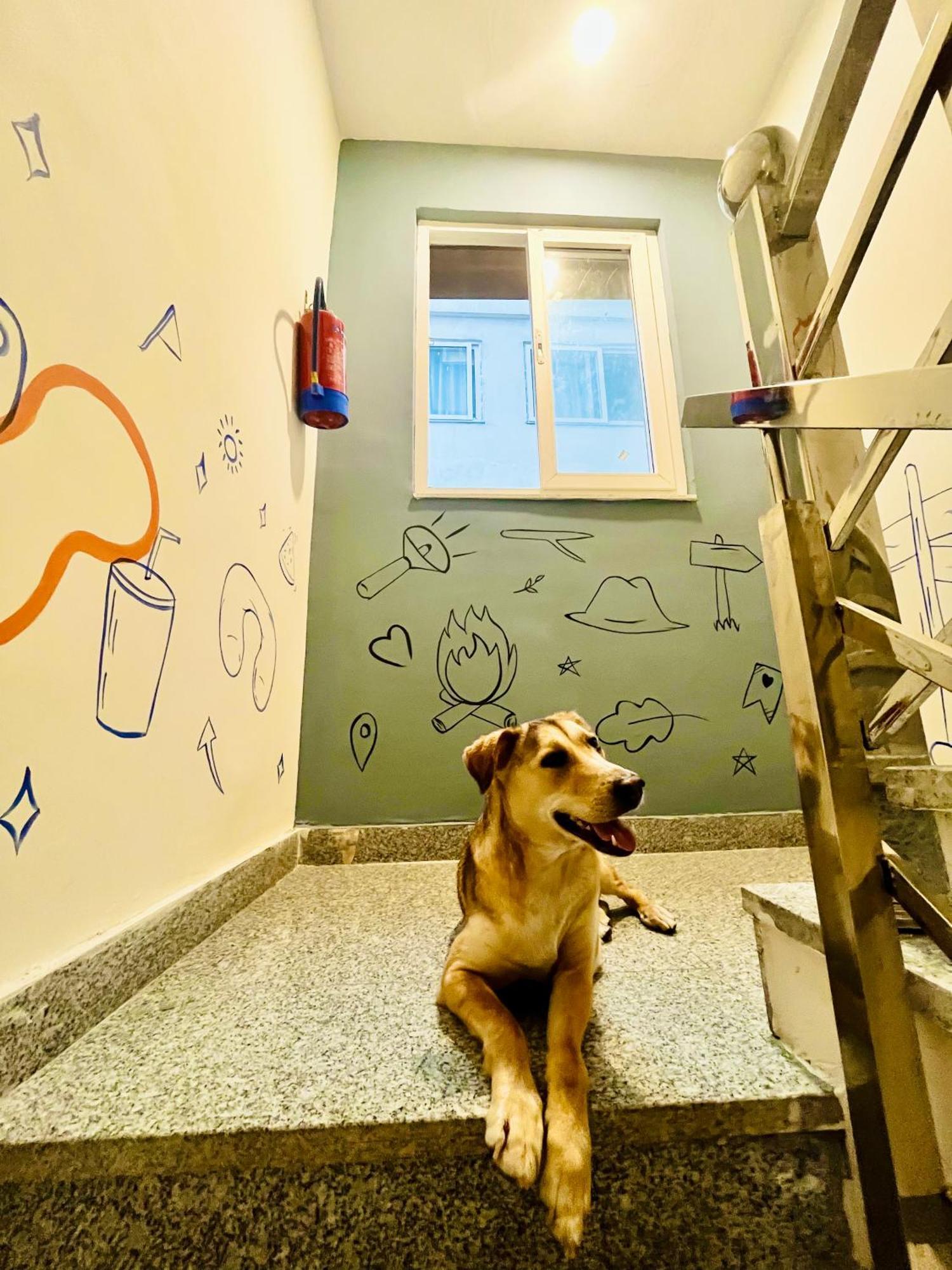Bonfire Hostels Rishīkesh 外观 照片